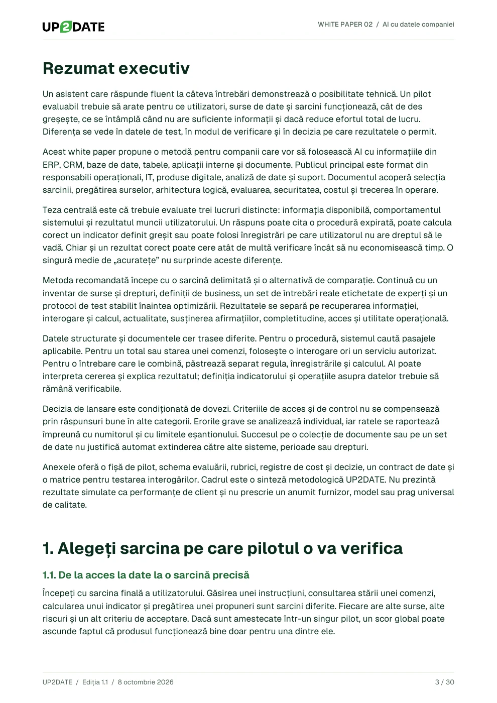 Pagina 3 din AI cu datele companiei